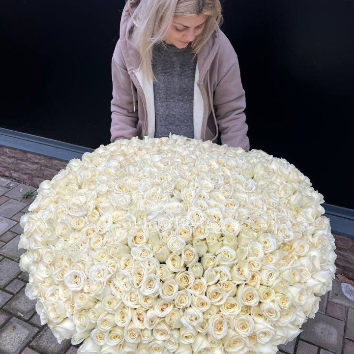 501 белая роза в корзине в Пензе