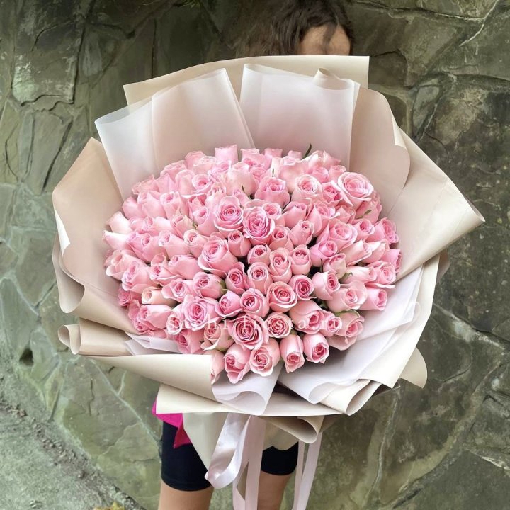 101 нежно-розовая роза Каролина  в Пензе