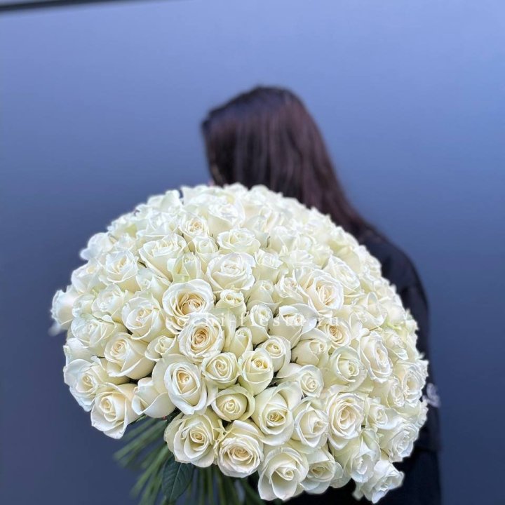 Охапка из 101 белой розы  в Пензе
