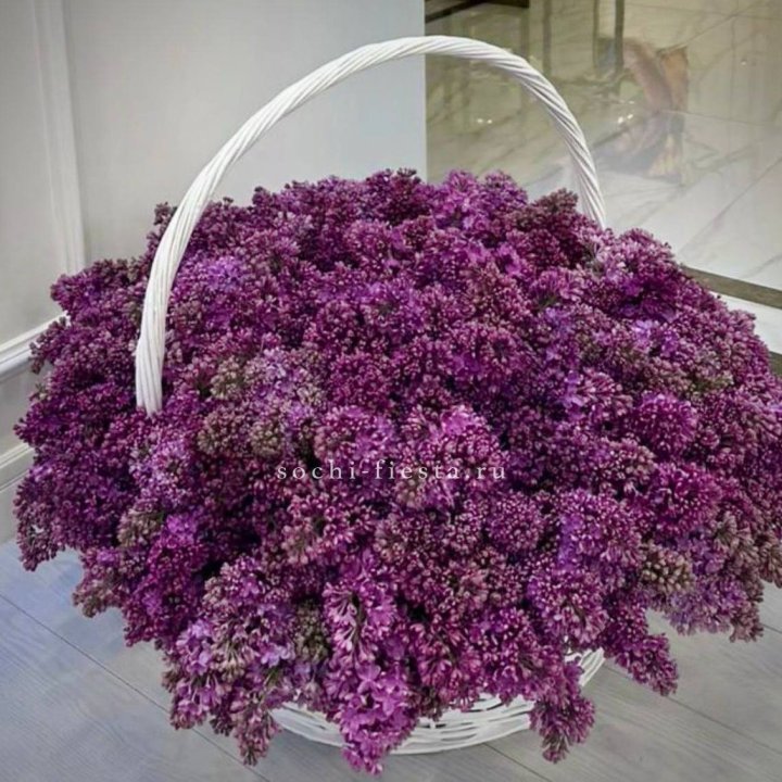Корзина сирени в Пензе