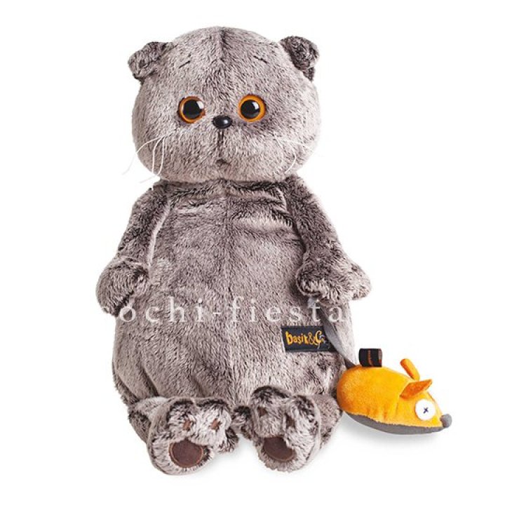 Кот Басик с мышкой в Пензе