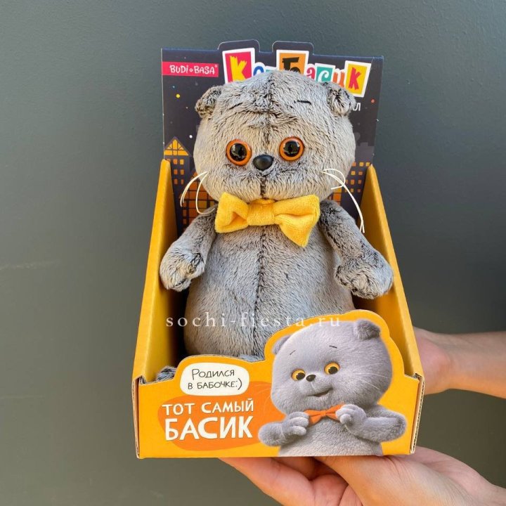 Кот Басик с бабочкой в Пензе