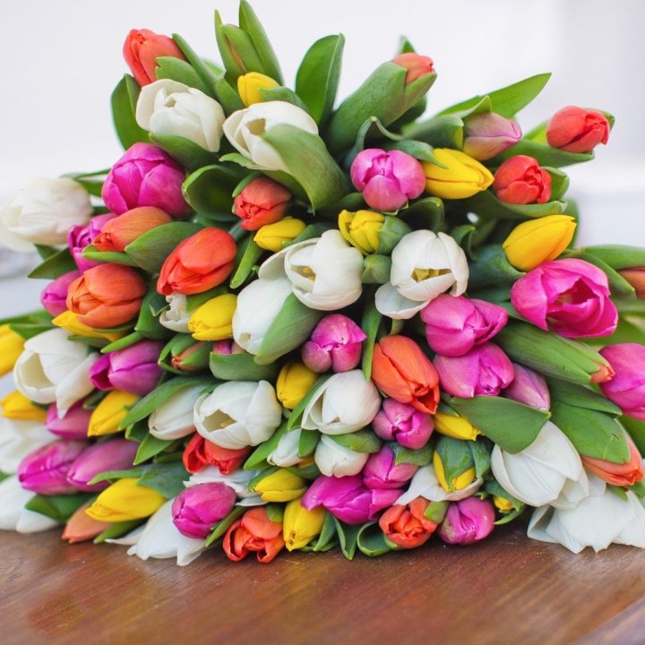 79 тюльпанов "Рандом" в Пензе