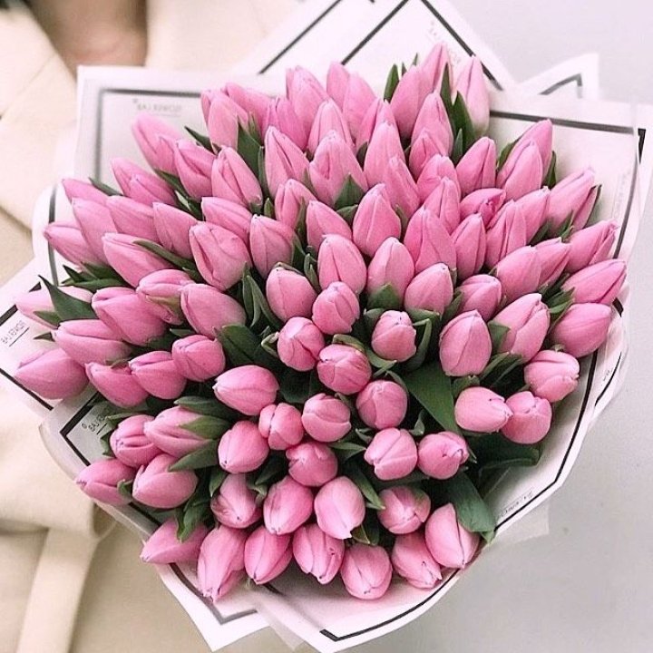 101 розовый тюльпан в белом в Пензе