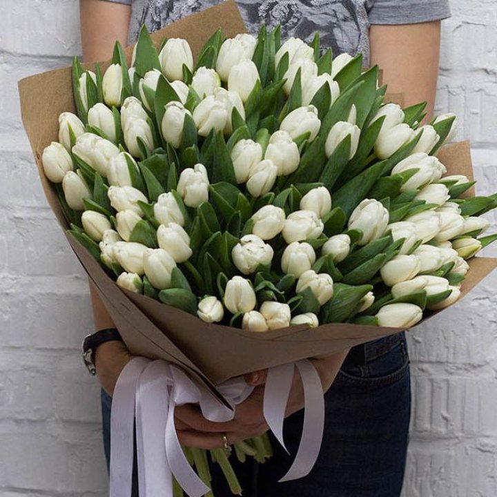 101 тюльпан сноу в Пензе