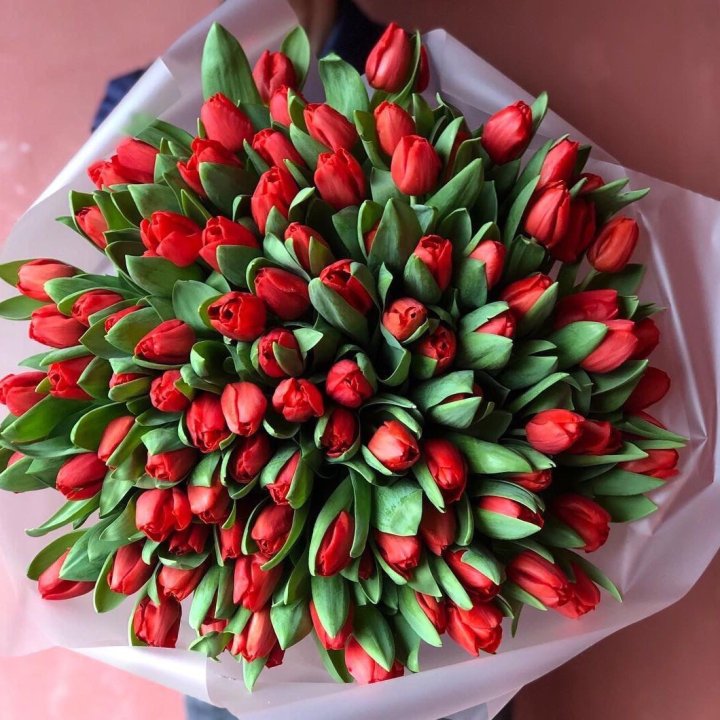 101 красный тюльпан в Пензе